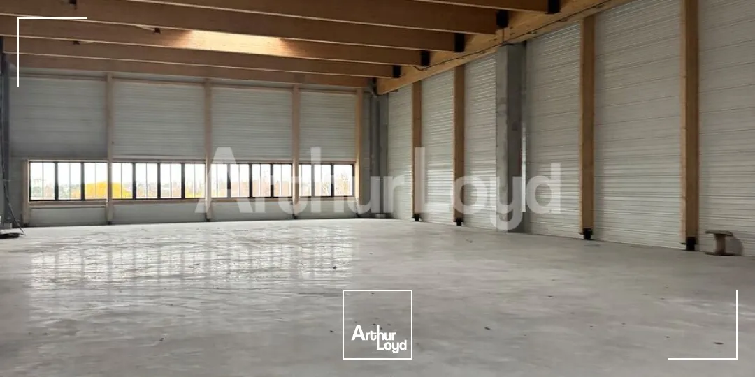 Locaux d'activité & Entrepôts - Location - LEZENNES - 59260 - 500-6000 - 7725290