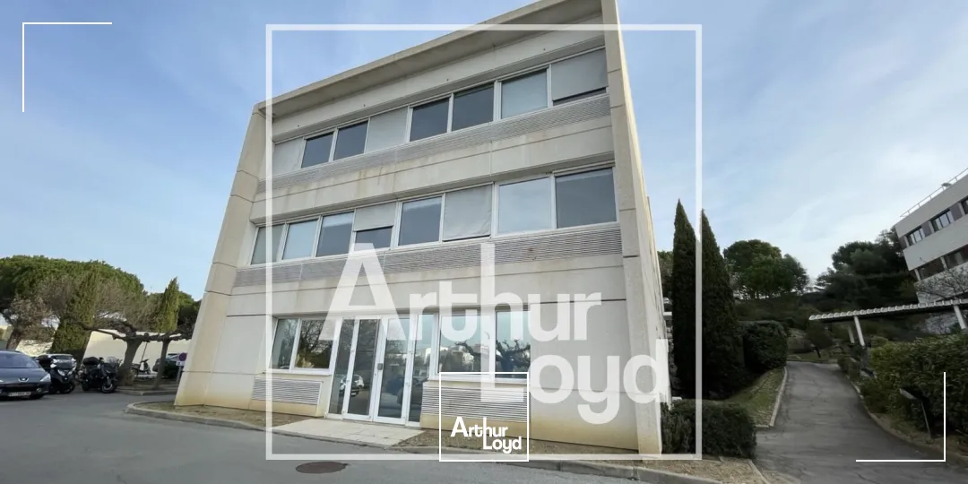 Bureaux - Vente - MONTPELLIER - 34000 - 1194-1194 - 7725576