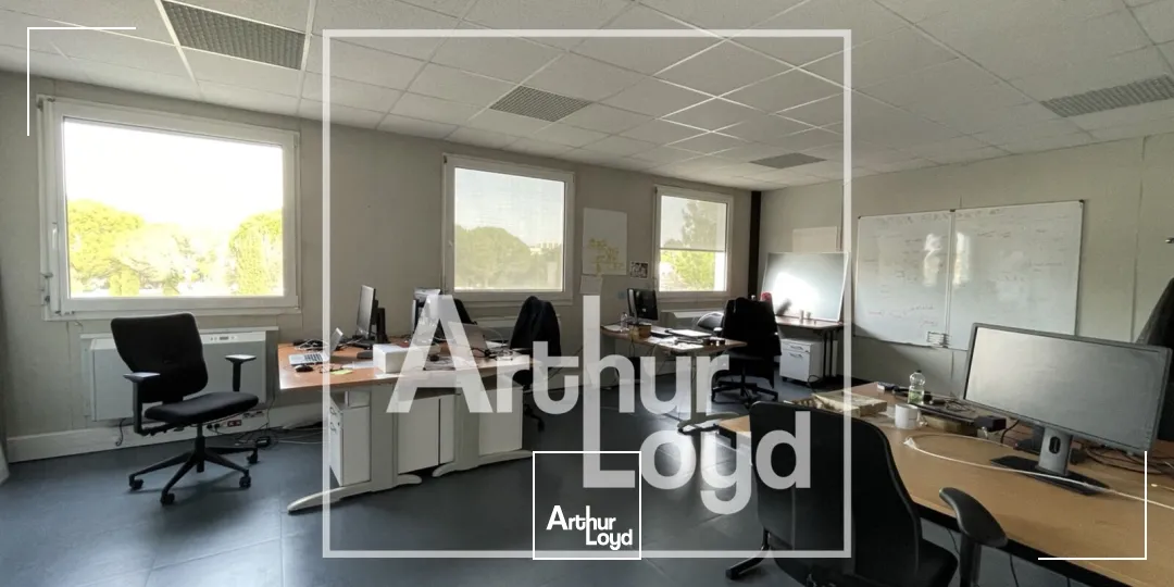 Bureaux - Vente - MONTPELLIER - 34000 - 1194-1194 - 7725583