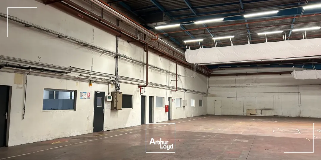 Locaux d'activité & Entrepôts - Vente - PONTCHATEAU - 44160 - 14035-14035 - 7725795