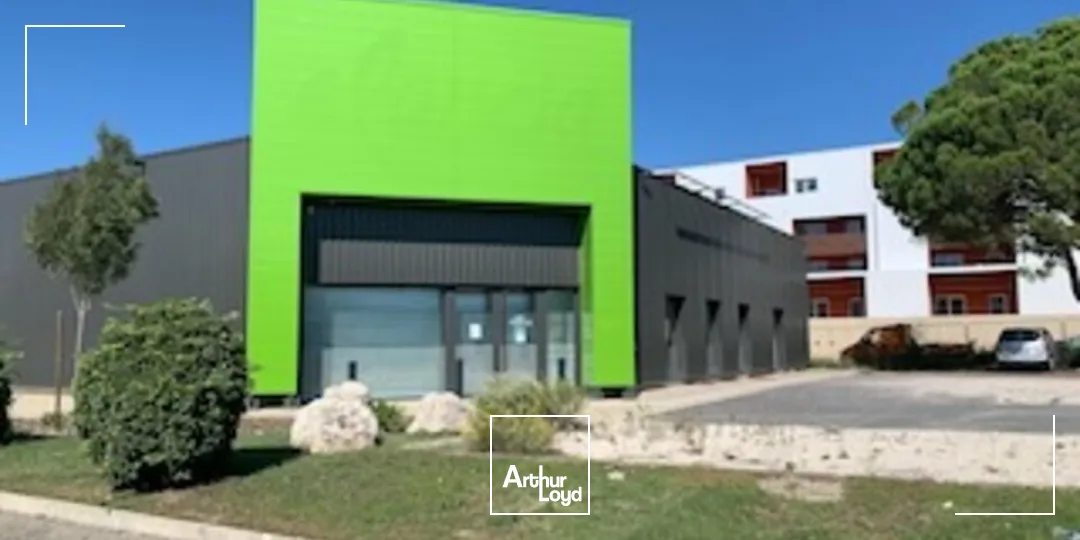 Locaux commerciaux - Vente - AVIGNON - 84000 - 626-626 - 7726207