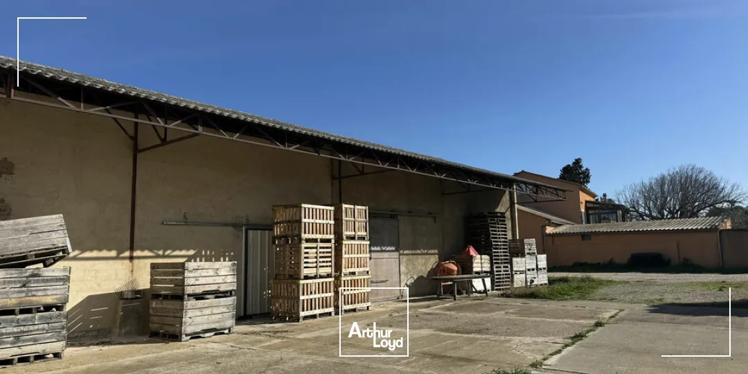 Locaux d'activité & Entrepôts - Location - MONTEUX - 84170 - 500-500 - 7726213