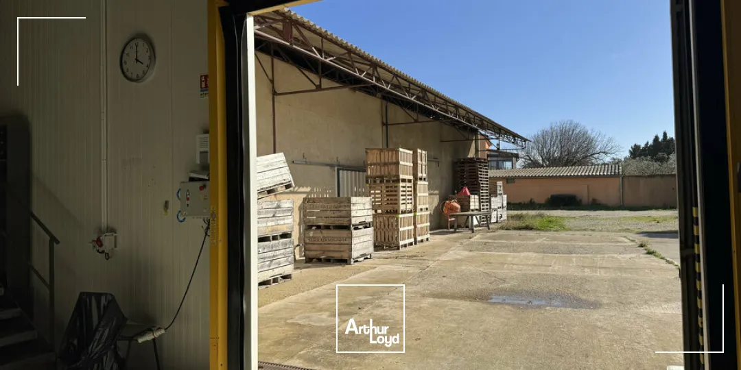 Locaux d'activité & Entrepôts - Location - MONTEUX - 84170 - 500-500 - 7726214
