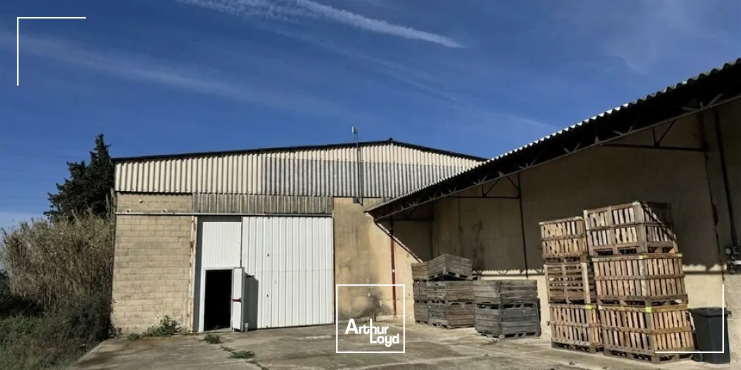 Locaux d'activité & Entrepôts - Location - MONTEUX - 84170 - 500-500 - 7726212