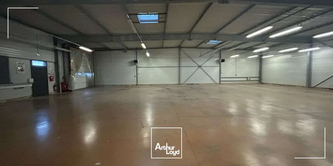 Locaux d'activité & Entrepôts - Location - FAMECK - 57290 - 1200-1200 - 7726230