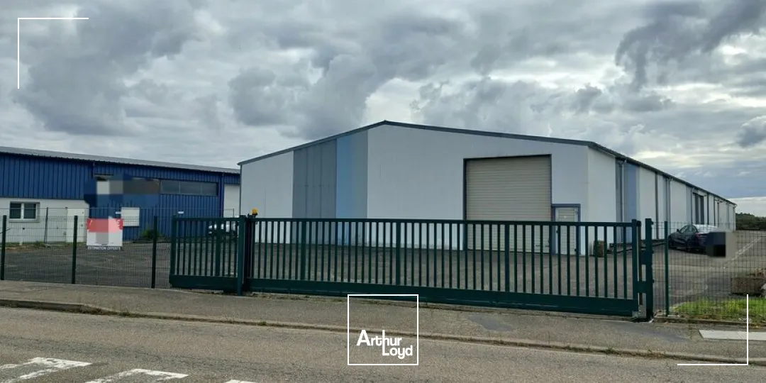 Locaux d'activité & Entrepôts - Location - DUTTLENHEIM - 67120 - 400-400 - 7727344