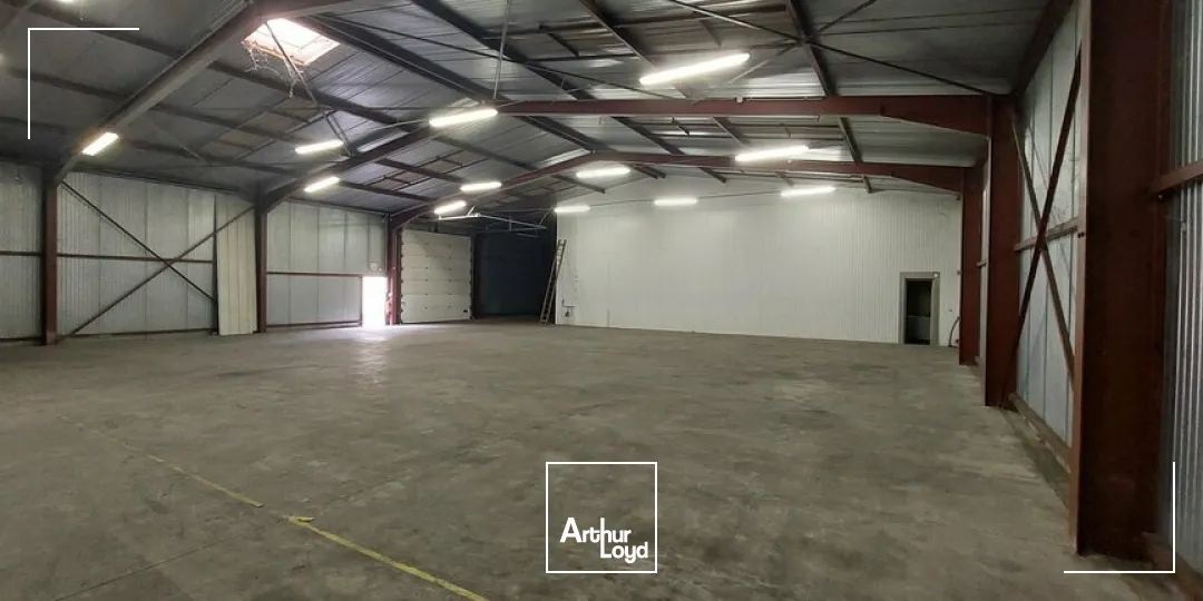 Locaux d'activité & Entrepôts - Location - DUTTLENHEIM - 67120 - 400-400 - 7727343