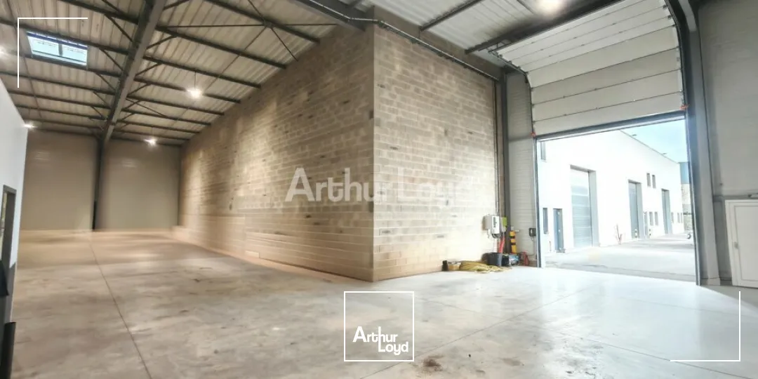 Locaux d'activité & Entrepôts - Vente - CERNAY-LÈS-REIMS - 51420 - 350-350 - 7727522