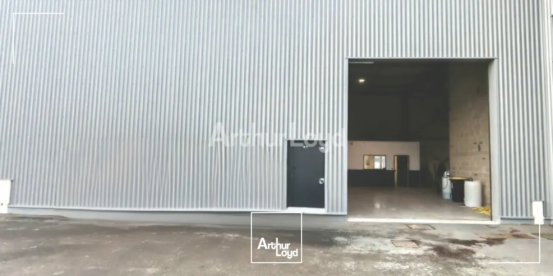 Locaux d'activité & Entrepôts - Vente - CERNAY-LÈS-REIMS - 51420 - 350-350 - 7727521