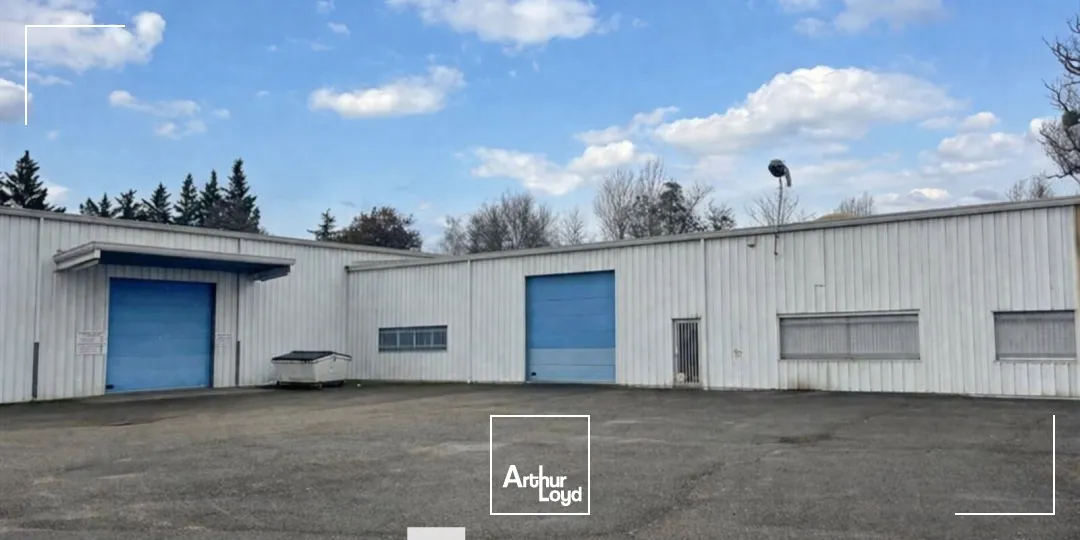 Locaux d'activité & Entrepôts - Vente - SAINT SYMPHORIEN D'OZON - 69360 - 1015-1015 - 7728012
