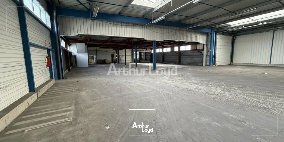 Locaux d'activité & Entrepôts - Vente - CORMONTREUIL - 51350 - 1744-1744 - 7728284