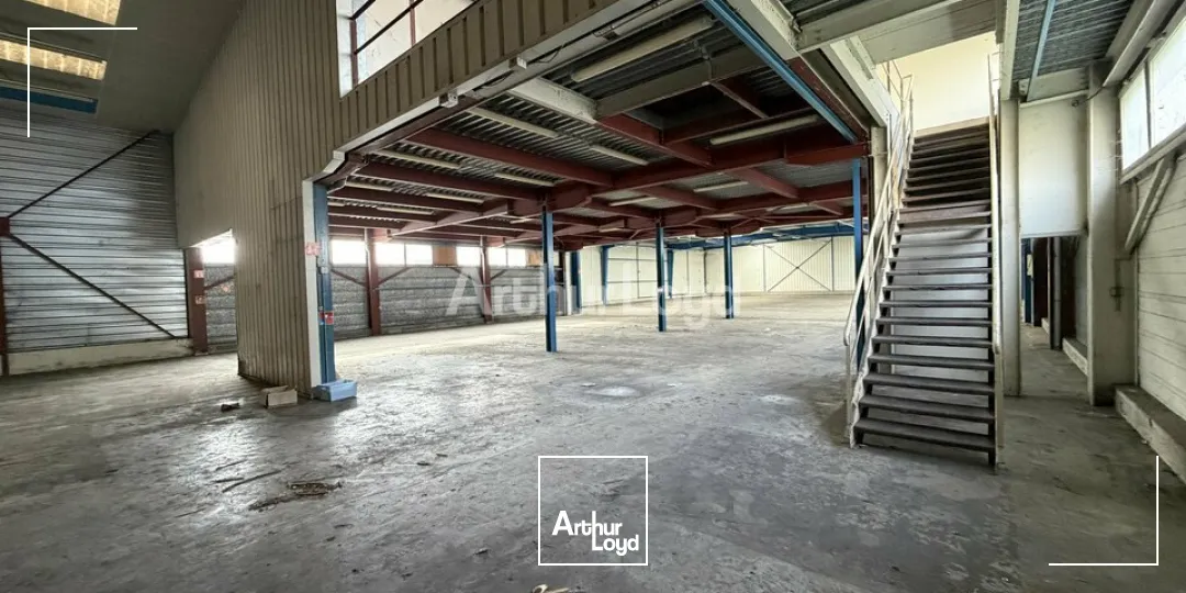 Locaux d'activité & Entrepôts - Vente - CORMONTREUIL - 51350 - 1744-1744 - 7728286