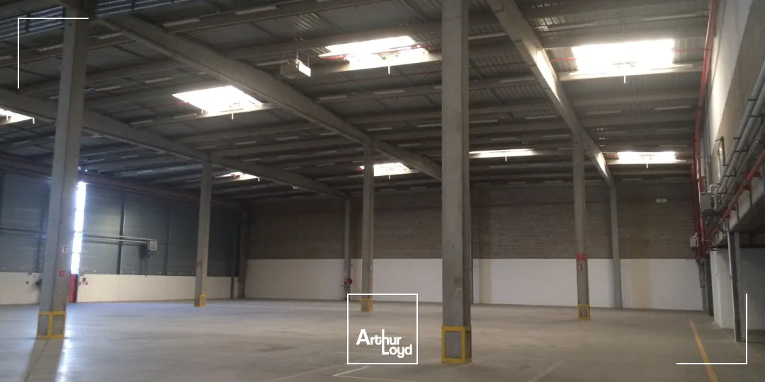 Locaux d'activité & Entrepôts - Location - SAINT OUEN L'AUMONE - 95310 - 5913-5913 - 7728681