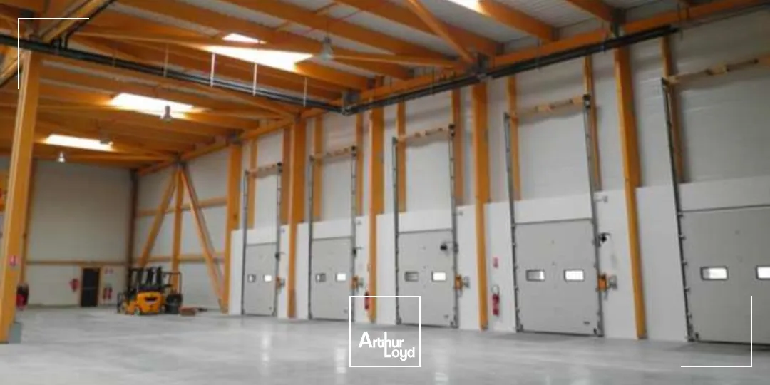 Locaux d'activité & Entrepôts - Location - LOUVRES - 95380 - 3374-3374 - 7728758