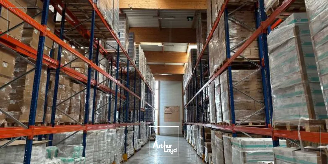 Locaux d'activité & Entrepôts - Location - LOUVRES - 95380 - 3374-3374 - 7728761