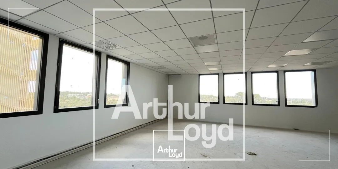 Bureaux - Location - CASTELNAU LE LEZ - 34170 - 137.16-1428.71 - 7730613