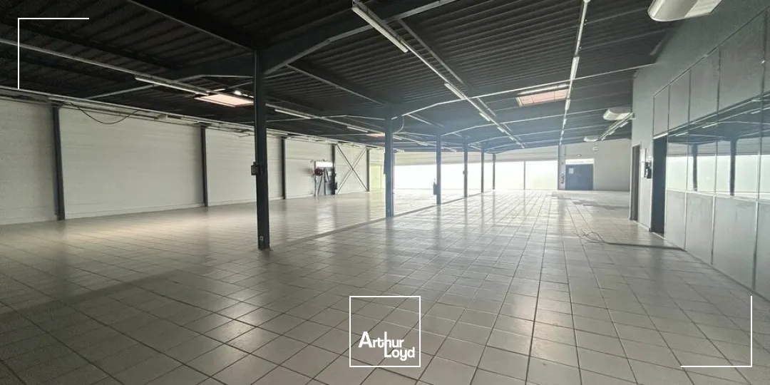 Locaux commerciaux - Location - MONTCEAU LES MINES - 71300 - 803-803 - 7731337