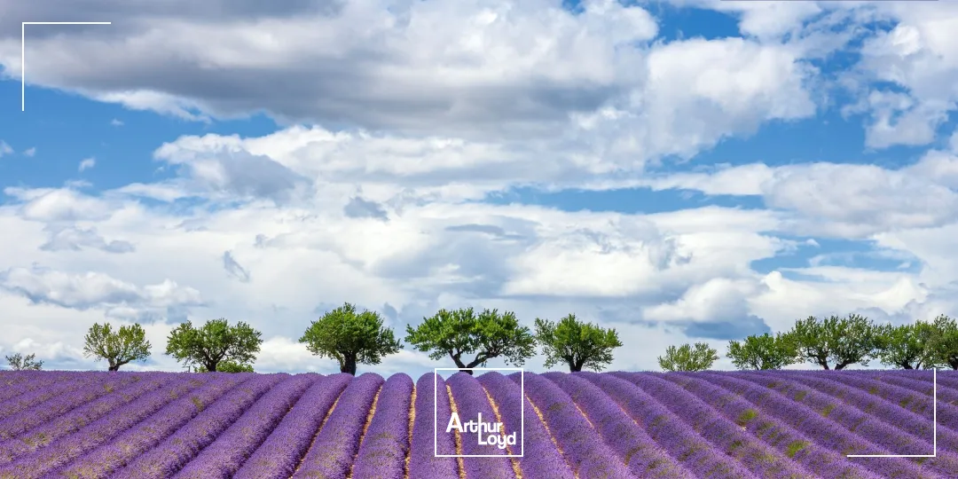 Locaux commerciaux - Location - AIX EN PROVENCE - 13100 - 98-98 - 7731531