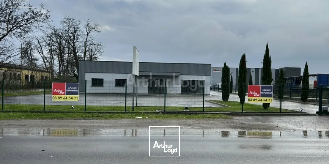 Locaux d'activité & Entrepôts - Location - RICHWILLER - 68120 - 590-590 - 7732238