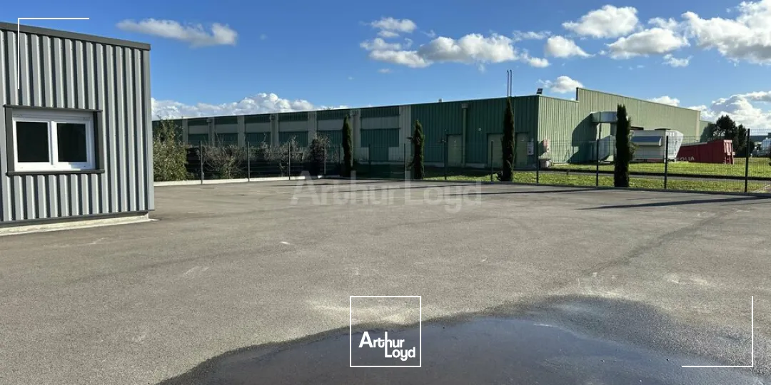 Locaux d'activité & Entrepôts - Location - RICHWILLER - 68120 - 590-590 - 7732242