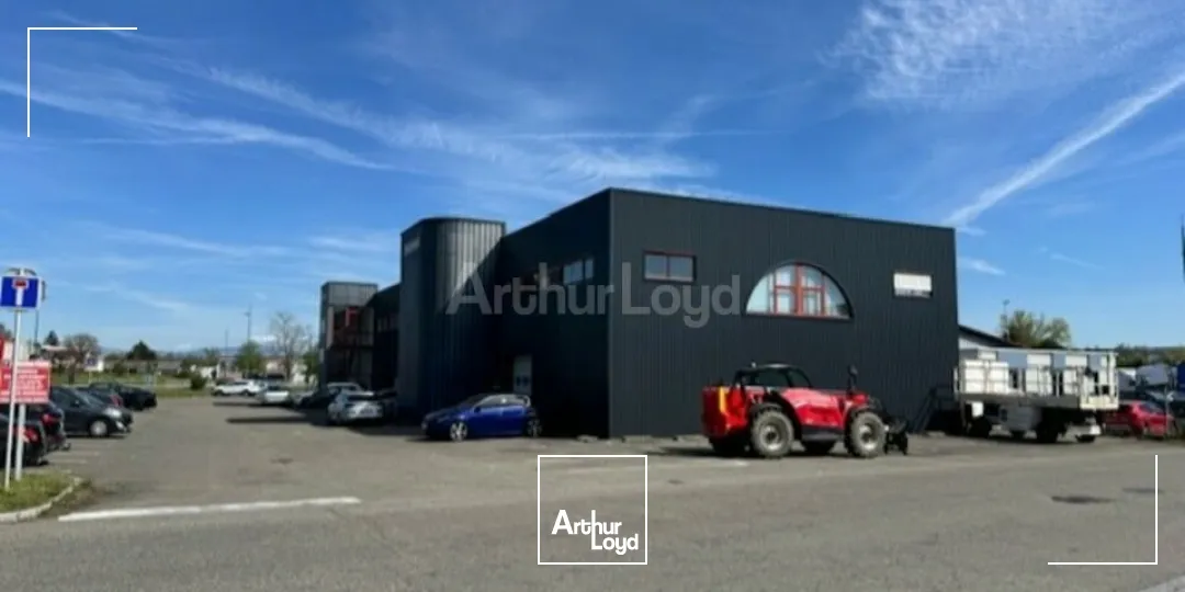 Bureaux - Location - SAUSHEIM - 68390 - 51-1103 - 7733057