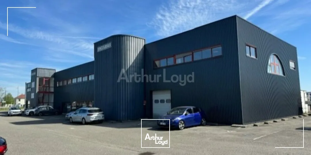 Bureaux - Location - SAUSHEIM - 68390 - 51-1103 - 7733058