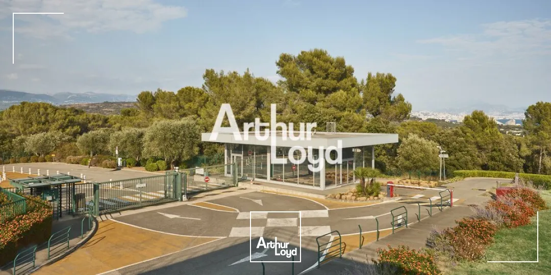 Bureaux - Location - BIOT - 06410 - 150-12200 - 7733072