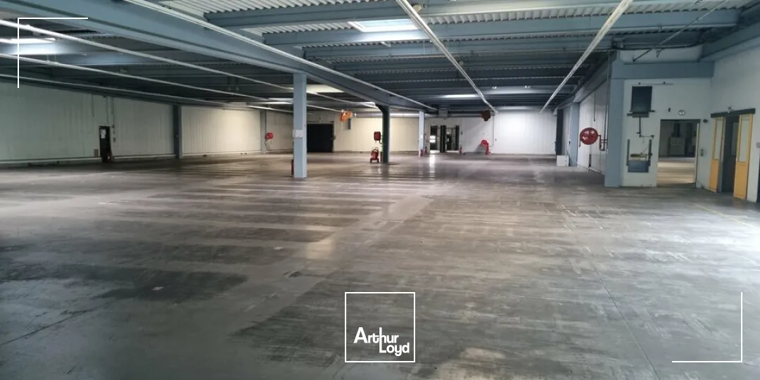 Locaux d'activité & Entrepôts - Location - JAUNAY CLAN - 86130 - 3868-3868 - 7735006