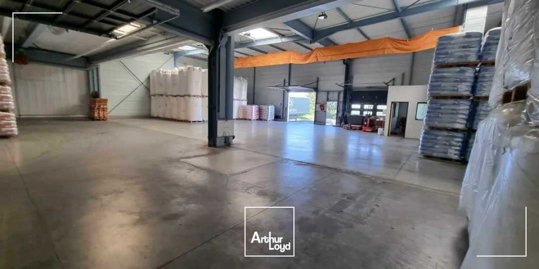 Locaux d'activité & Entrepôts - Location - JAUNAY CLAN - 86130 - 3868-3868 - 7735009