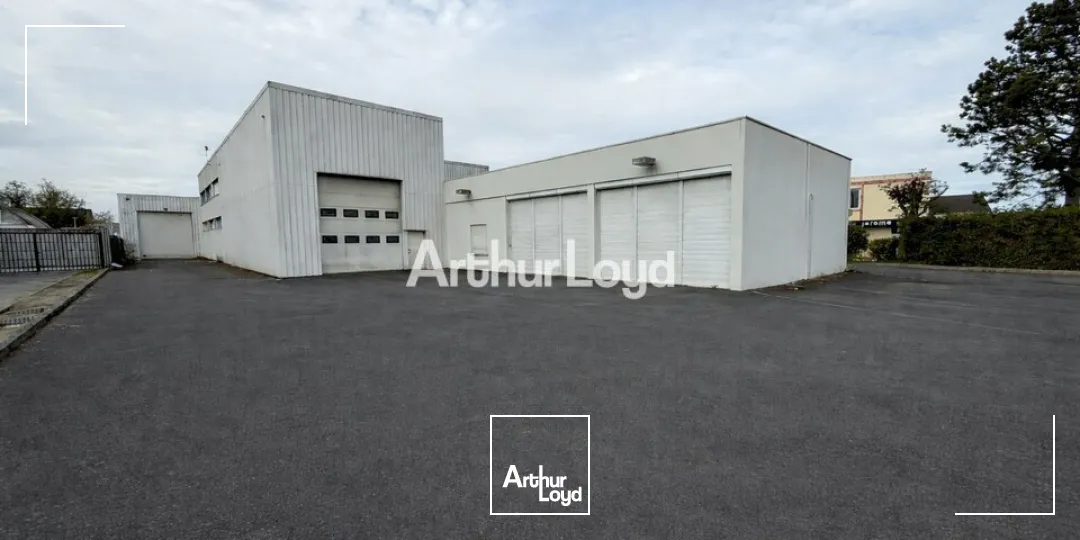 Locaux d'activité & Entrepôts - Vente - CORMONTREUIL - 51350 - 1744-1744 - 7735022