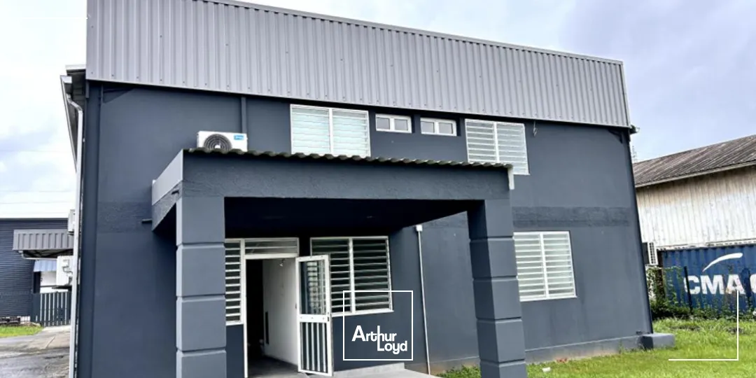 Bureaux - Location - Cayenne - 97300 - 146-146 - 7735798