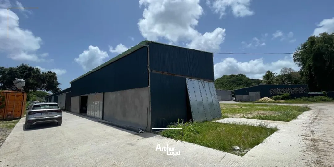 Locaux d'activité & Entrepôts - Location - Le Gosier - 97190 - 250-250 - 7735893