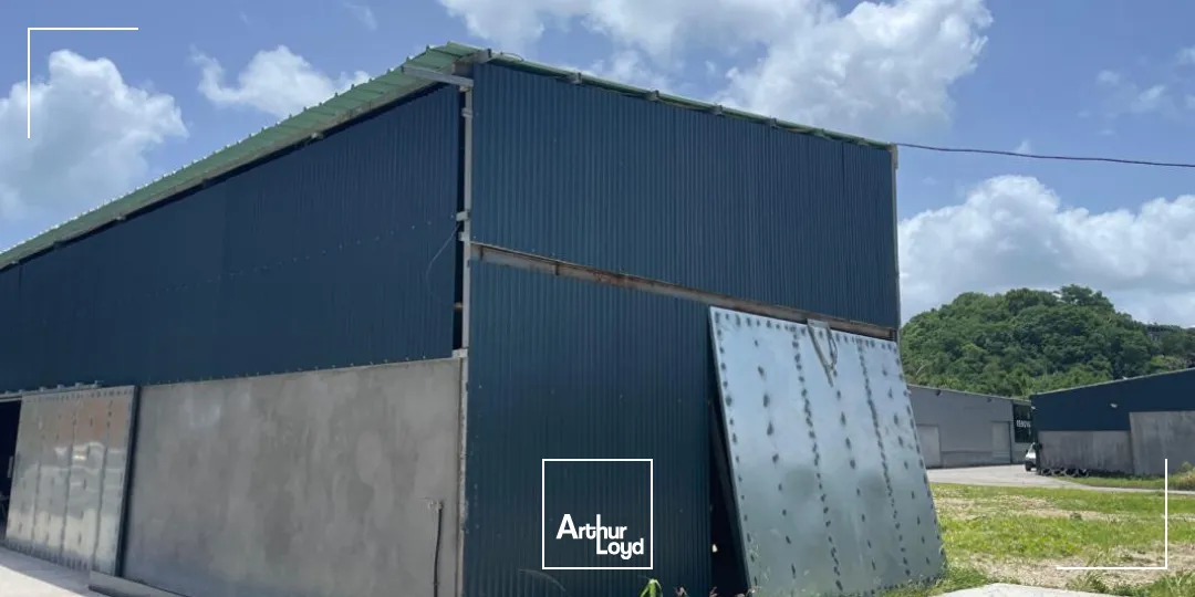 Locaux d'activité & Entrepôts - Location - Le Gosier - 97190 - 250-250 - 7735892
