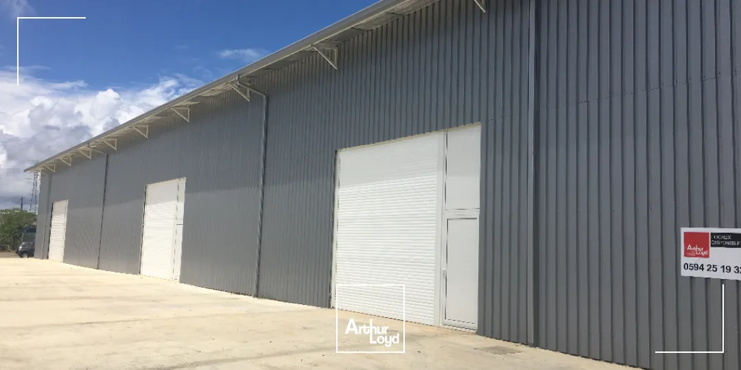 Locaux d'activité & Entrepôts - Location - Matoury - 97351 - 672-672 - 7736108