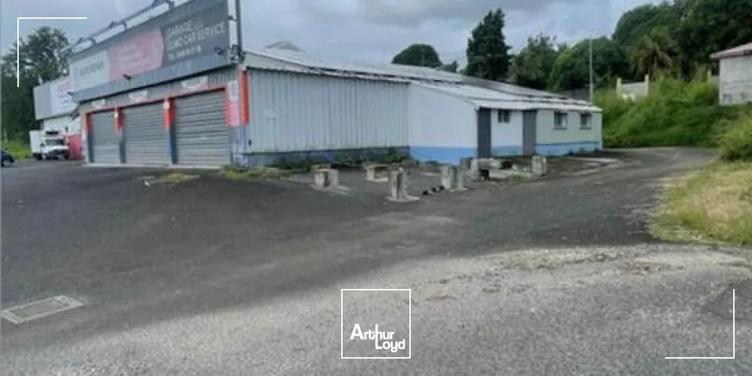 Locaux commerciaux - Location - Goyave - 97128 - 330-330 - 7736159