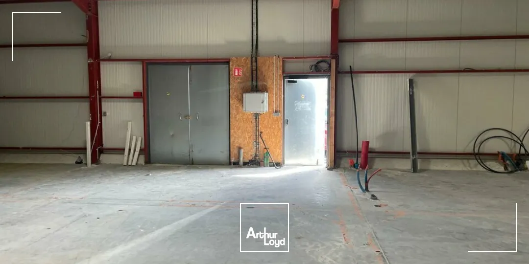 Locaux commerciaux - Location - LA ROCHE SUR YON - 85000 - 320-320 - 7737264