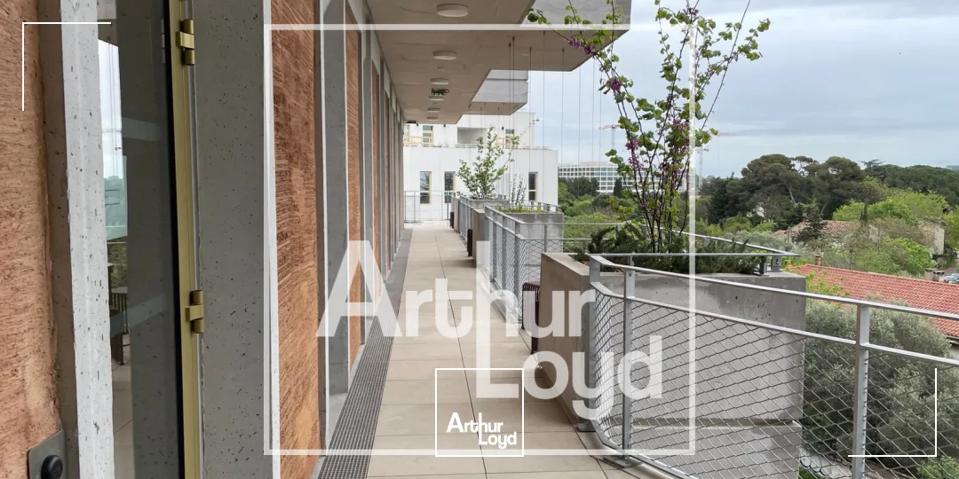 Bureaux - Location - MONTPELLIER - 34000 - 132-457 - 7737498