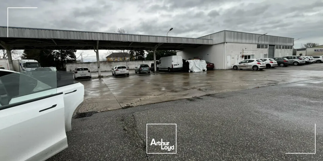 Terrains - Location - ILLKIRCH-GRAFFENSTADEN - 67400 - 9000-9000 - 7738904