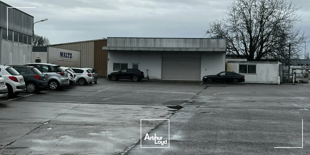 Terrains - Location - ILLKIRCH-GRAFFENSTADEN - 67400 - 9000-9000 - 7738903