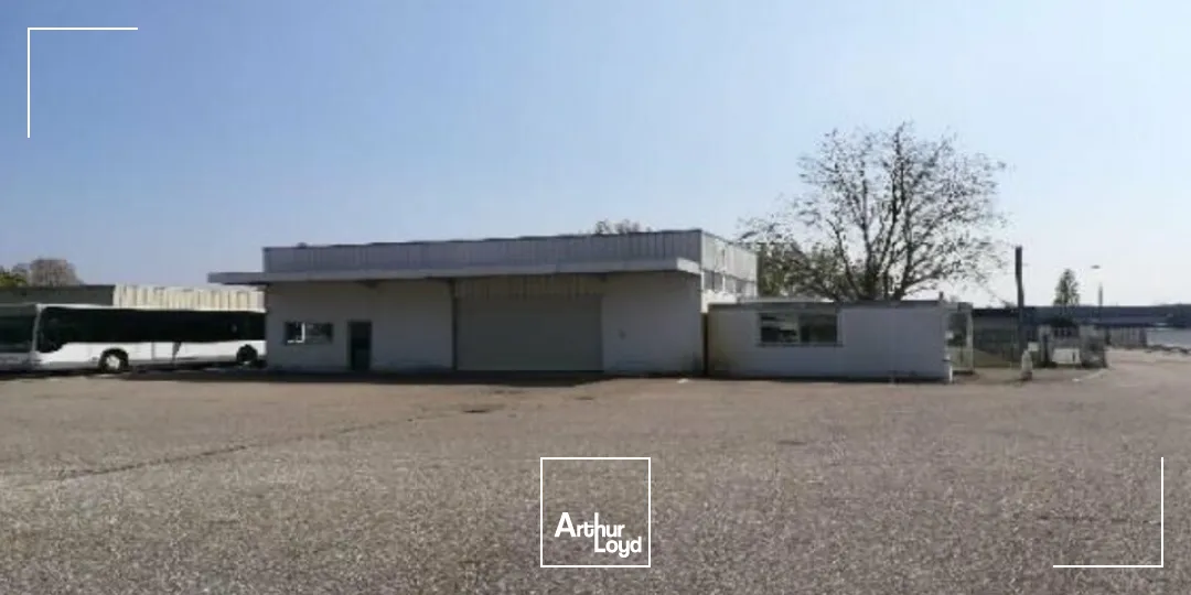 Terrains - Location - ILLKIRCH-GRAFFENSTADEN - 67400 - 9000-9000 - 7738905