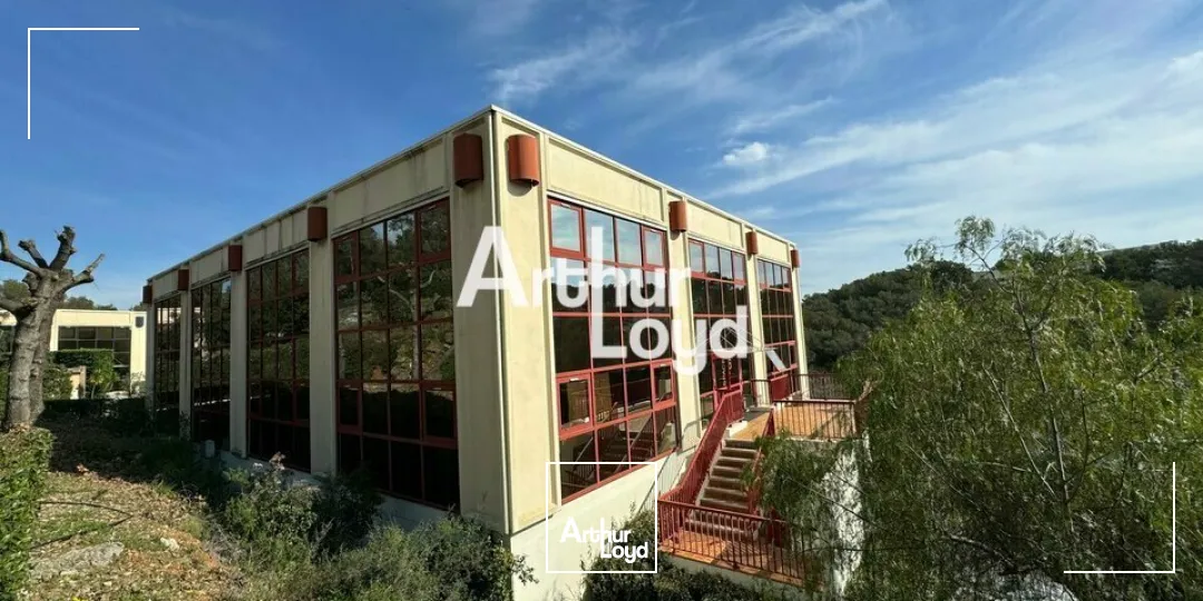 Bureaux - Location - VALLAURIS - 06220 - 43-1227.12 - 7738922