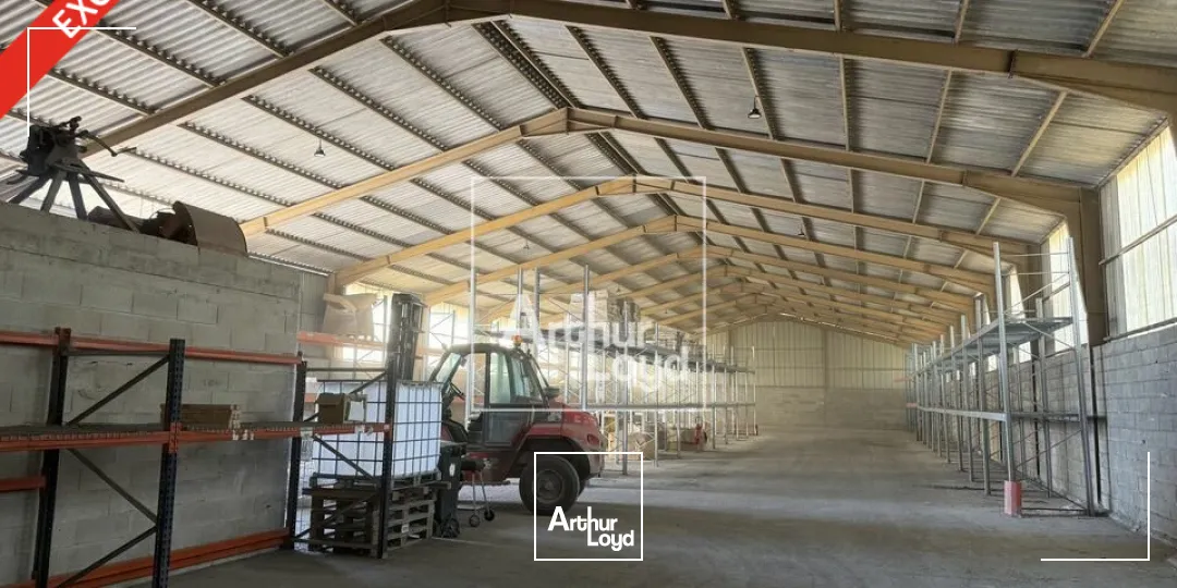 Locaux d'activité & Entrepôts - Location - SIVRY-COURTRY - 77115 - 1260-1260 - 7738958