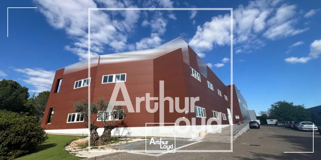 Bureaux - Location - MONTPELLIER - 34070 - 376-376 - 7739325