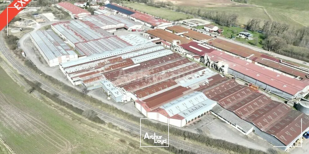 Locaux d'activité & Entrepôts - Location - MATTAINCOURT - 88500 - 3070-13030 - 7740726