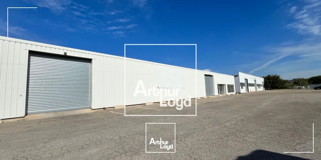 Locaux d'activité & Entrepôts - Vente - SAINT GILLES - 30800 - 1850-1850 - 7740944