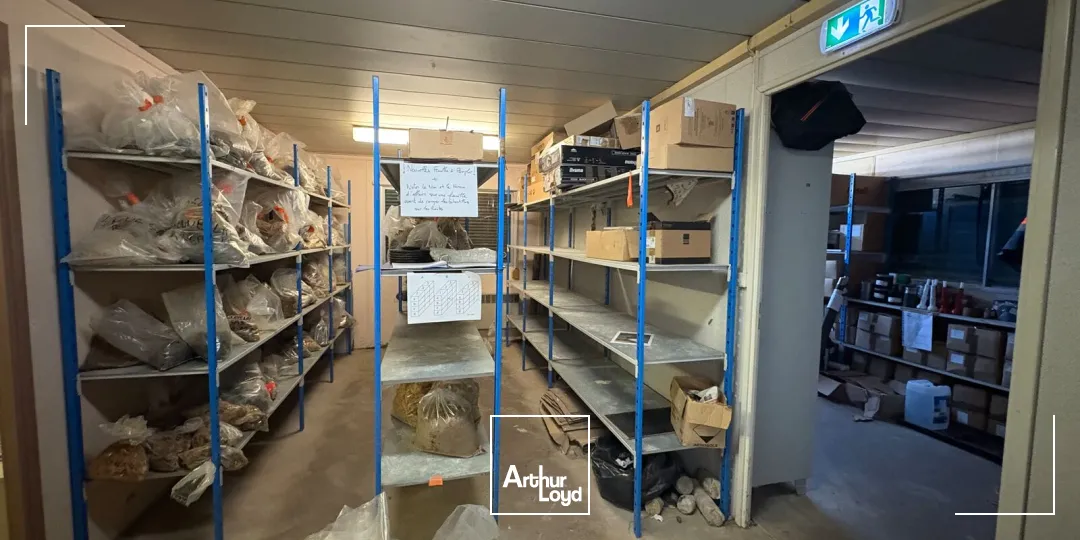 Locaux d'activité & Entrepôts - Vente - OLIVET - 45160 - 100-345 - 7741101