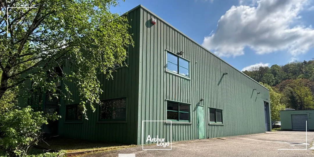 Locaux d'activité & Entrepôts - Vente - FLEURIEU SUR SAONE - 69250 - 730-730 - 7741452