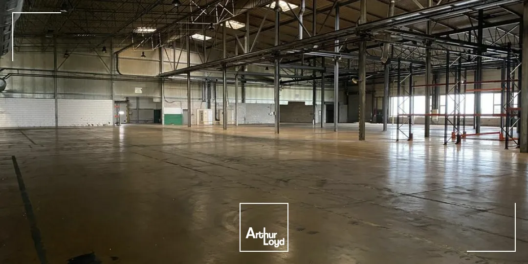 Locaux d'activité & Entrepôts - Vente - HENRIVILLE - 57450 - 10245-10245 - 7741627