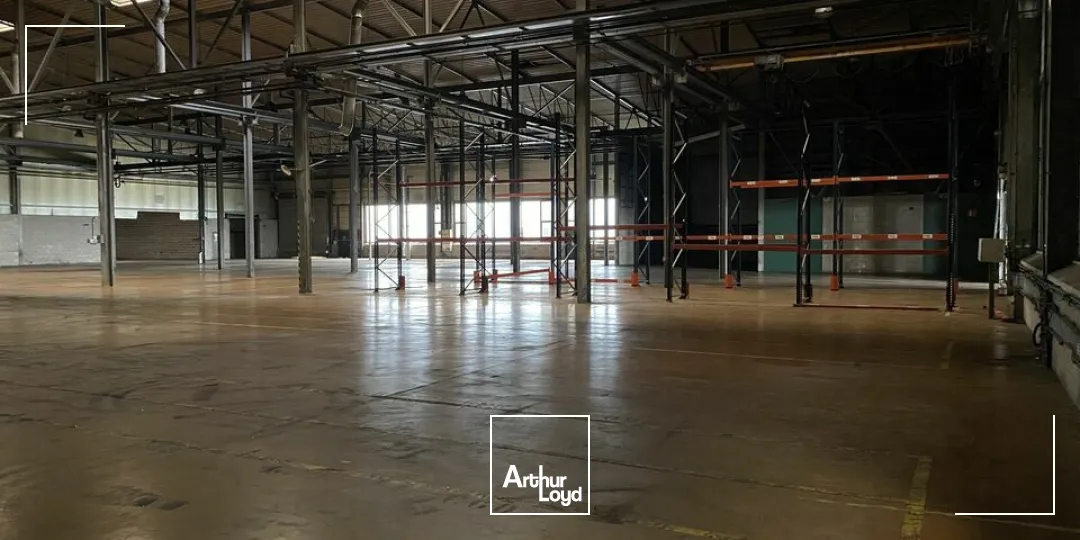 Locaux d'activité & Entrepôts - Vente - HENRIVILLE - 57450 - 10245-10245 - 7741630