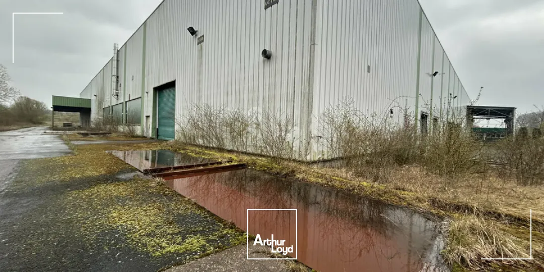 Locaux d'activité & Entrepôts - Vente - HENRIVILLE - 57450 - 10245-10245 - 7741624